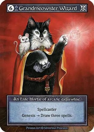 Grandmeowster Wizard (Foil) - Welcome Kit Promos Foil