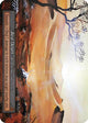 Arid Desert  - Beta