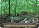 Pebbled Paths (Foil)  - Arthurian Legends Foil