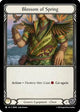 Blossom of Spring (SEN005) (SEN005)