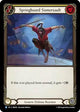 Springboard Somersault (SEN020) (SEN020)